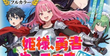 姫様、勇者やってます（極秘）（みーとぱい）